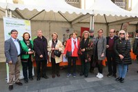 VIII Feria de Entidades de Voluntariado Social en la plaza de la Catedral